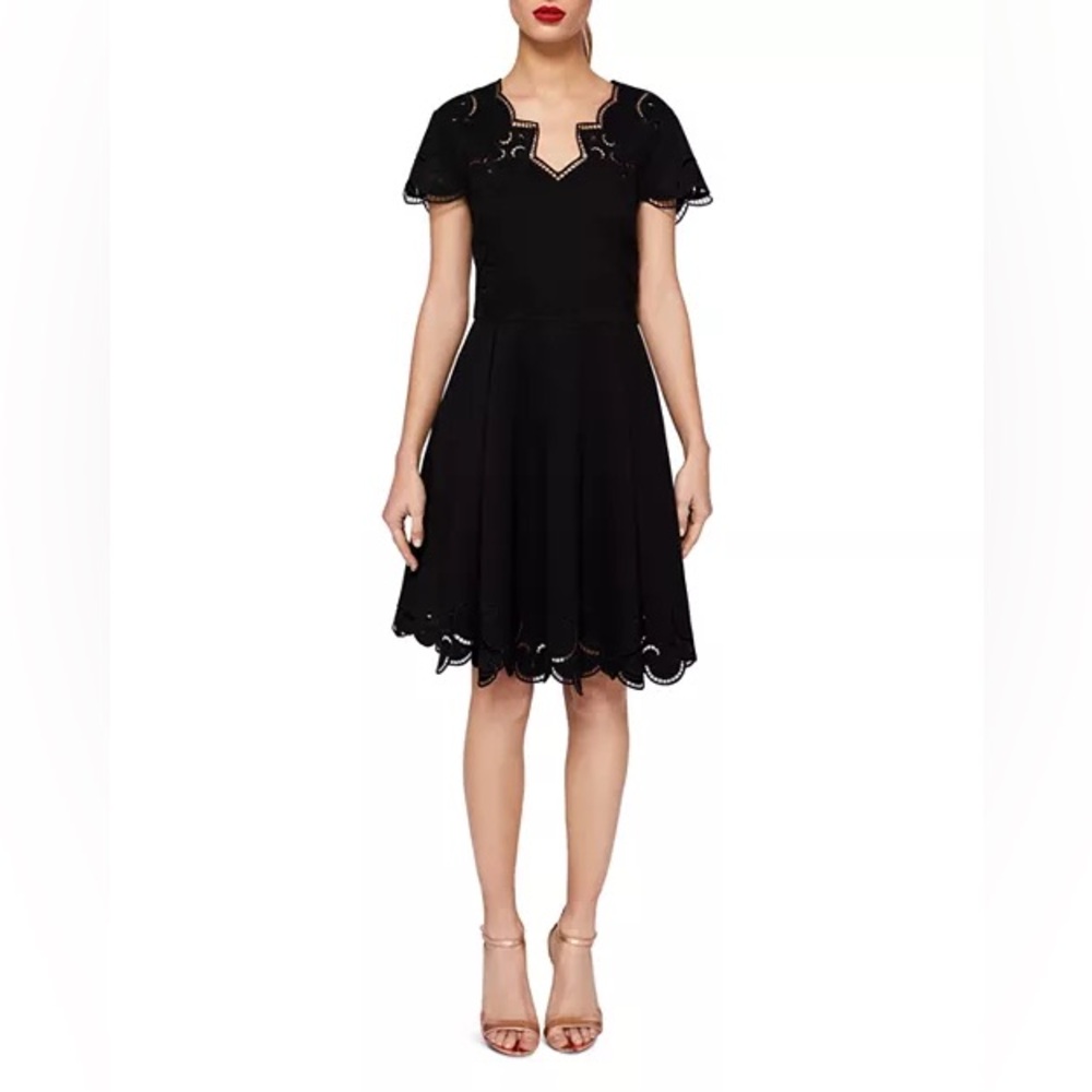 Ted Baker Saloane Embroidered Skater Dress
